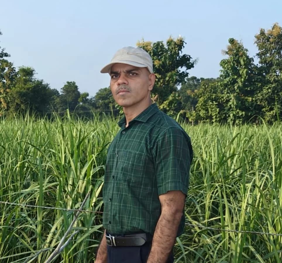 लगातार बारिश से फसलों में रोगों का खतरा, किसानों को नियमित निगरानी की सलाह